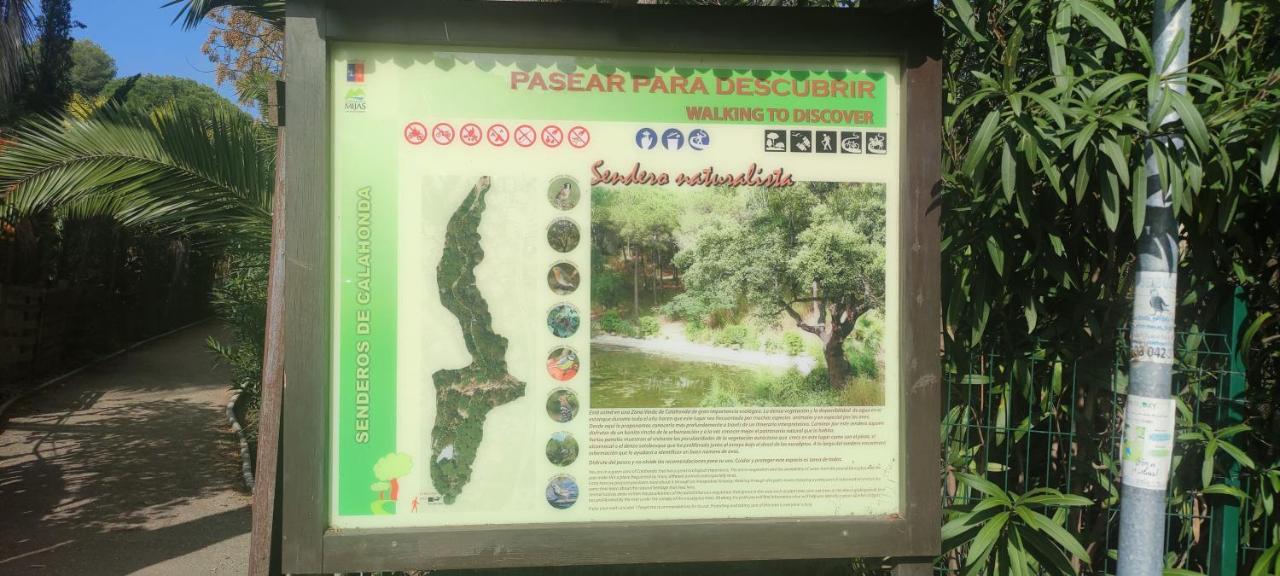 Beach Forest Paradise 마르베야 외부 사진