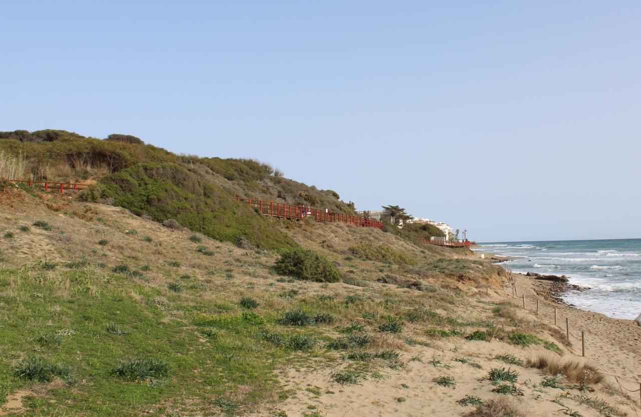 Beach Forest Paradise 마르베야 외부 사진