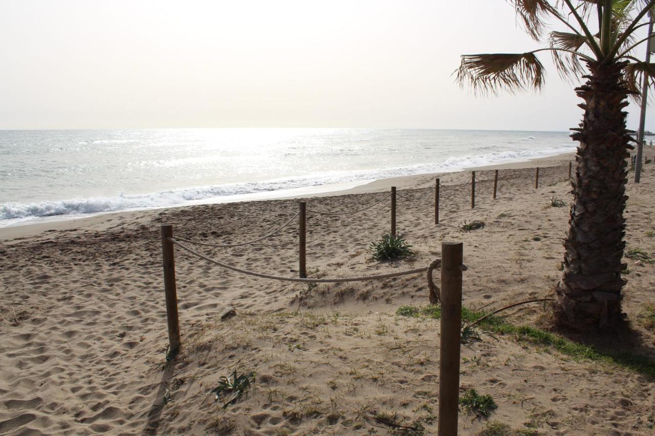 Beach Forest Paradise 마르베야 외부 사진